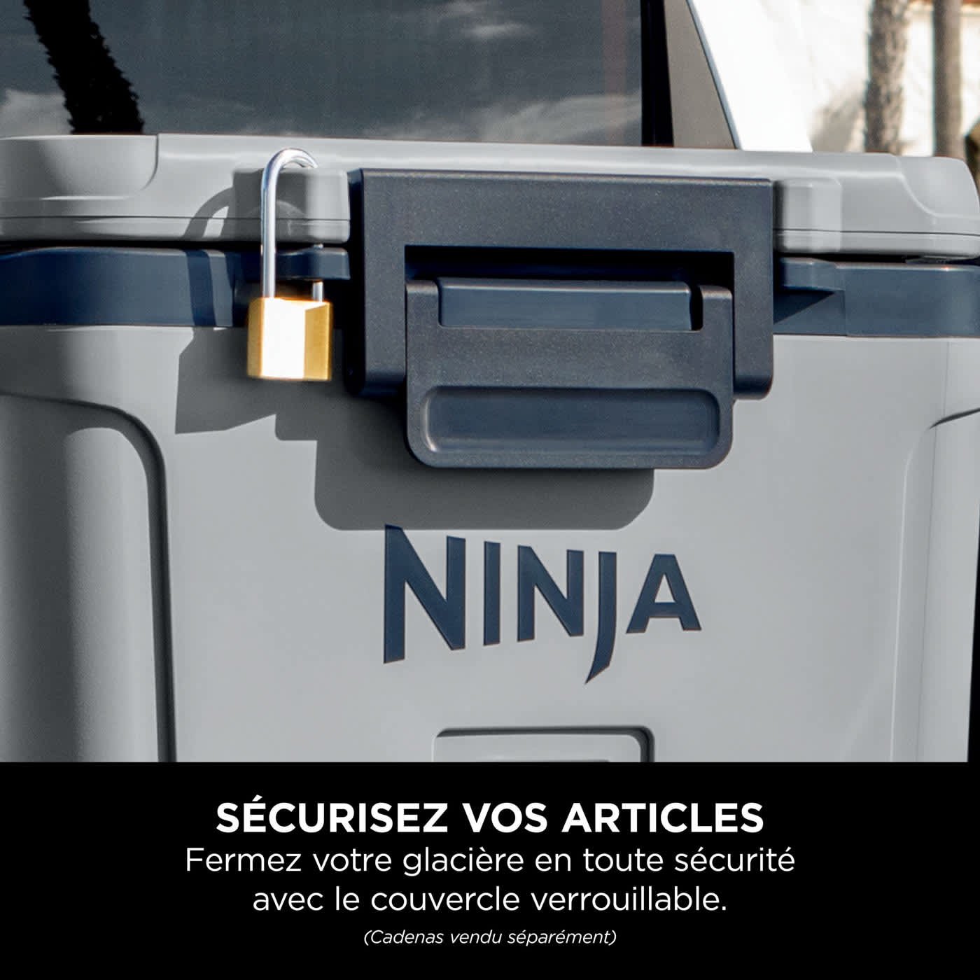 glaciere-ninja-frostvault-28-l-grise-fb131eugy-13