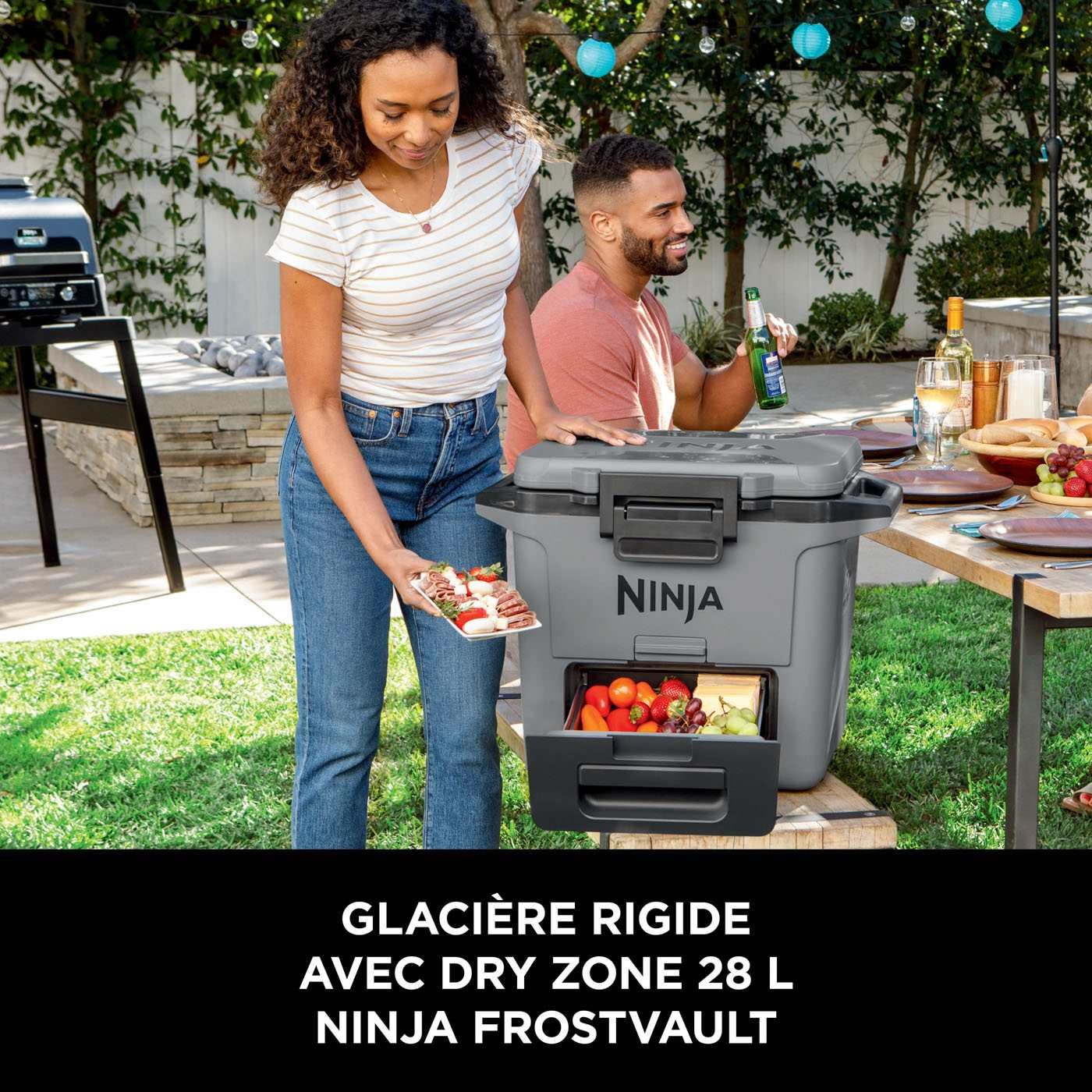 glaciere-ninja-frostvault-28-l-grise-fb131eugy-4