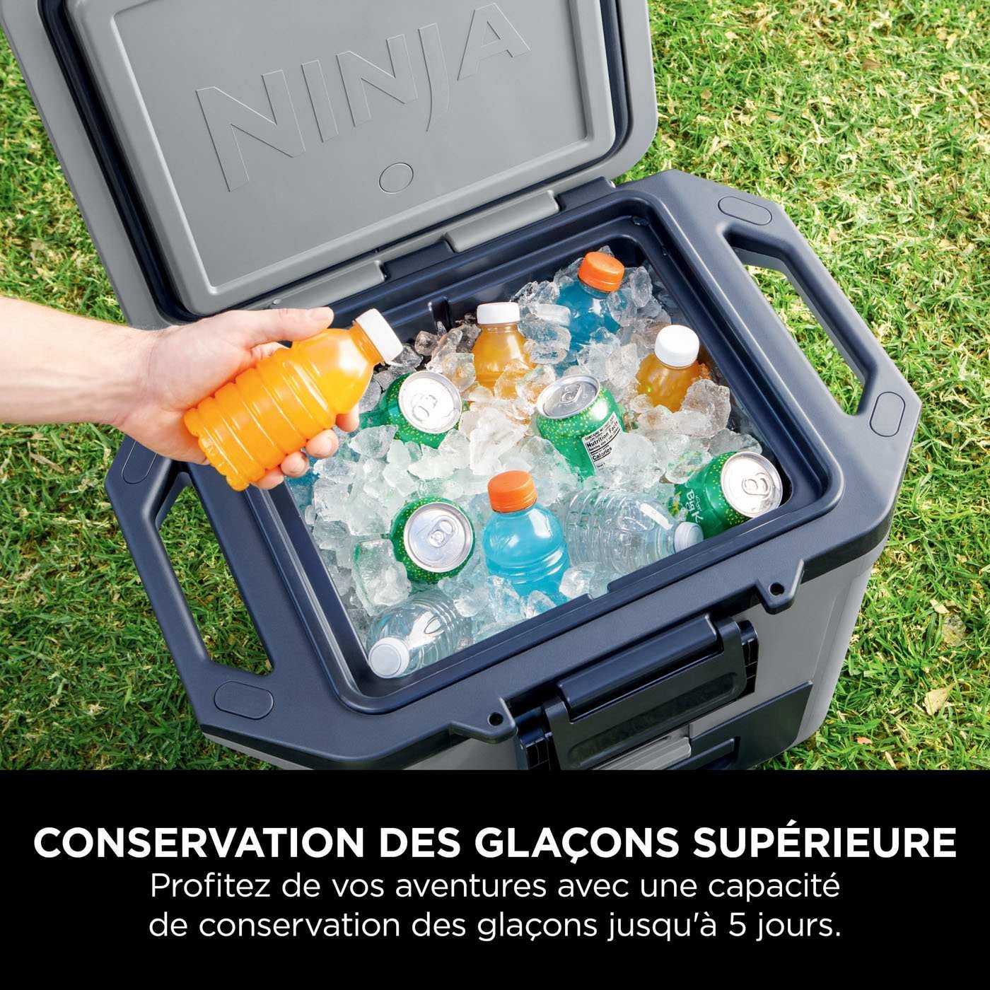 glaciere-ninja-frostvault-28-l-grise-fb131eugy-5