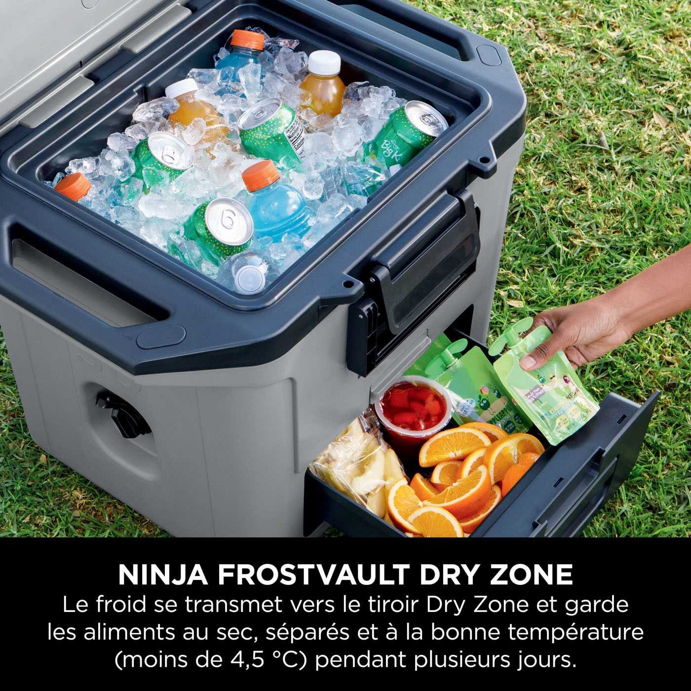 glaciere-ninja-frostvault-28-l-grise-fb131eugy-6